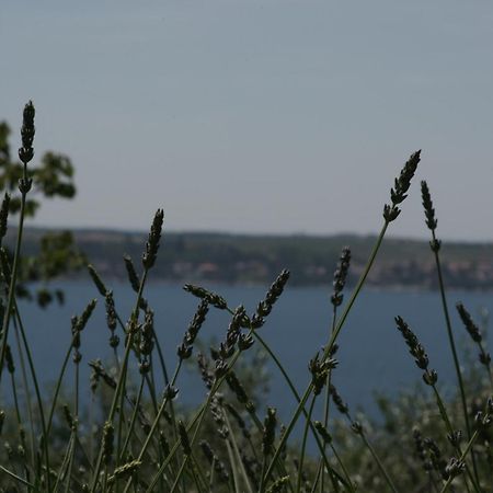 Apartments Hafner Portorož Dış mekan fotoğraf